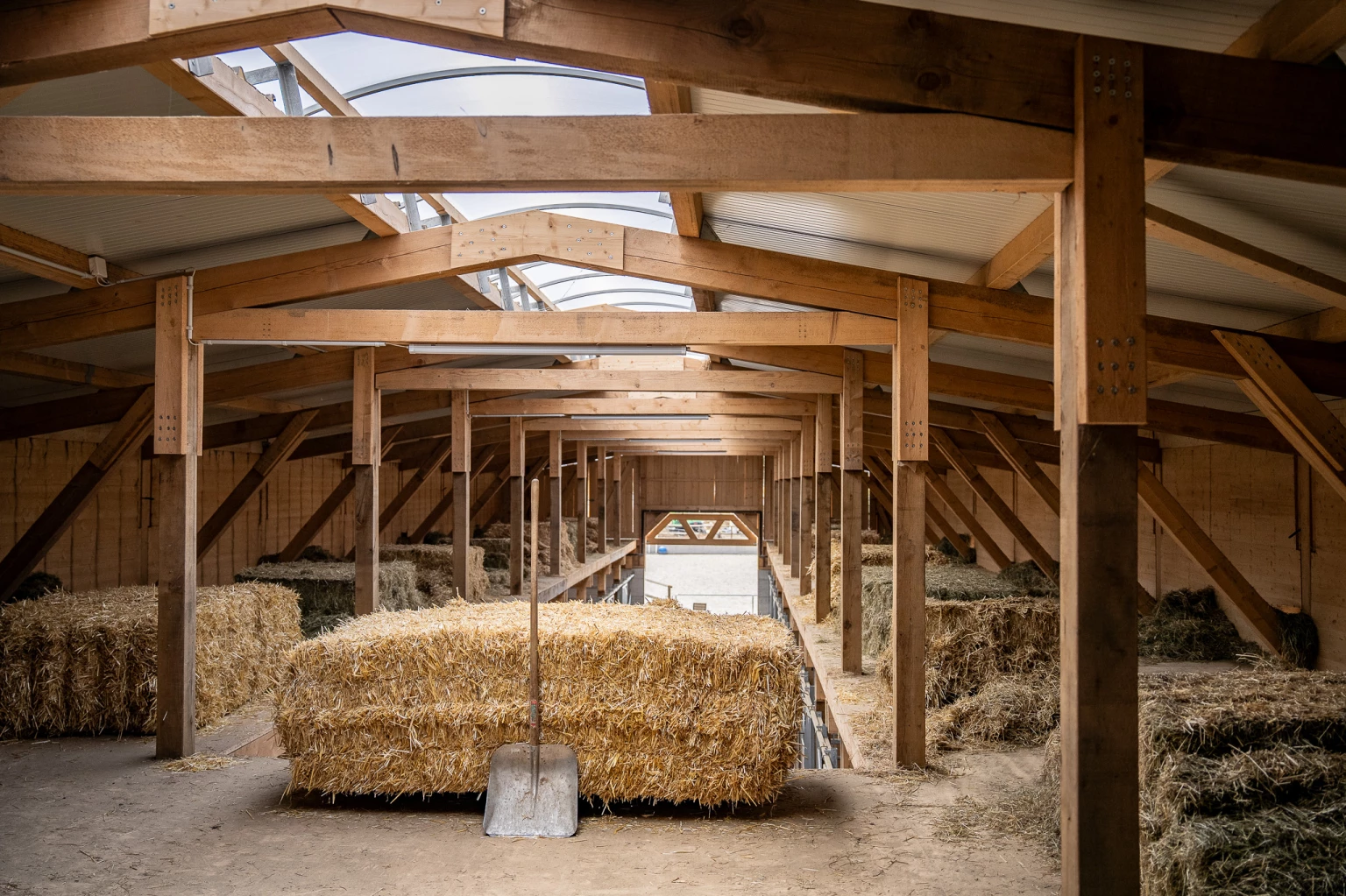 Holzbau Projekt Neubau landwirtschaftliches Gebäude Thurgau