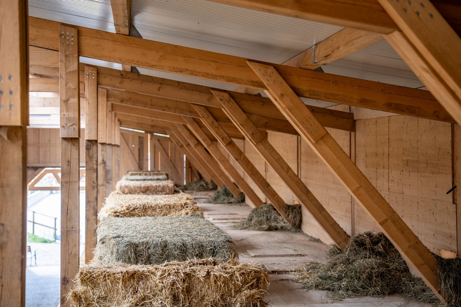 Holzbau Projekt Neubau landwirtschaftliches Gebäude Thurgau