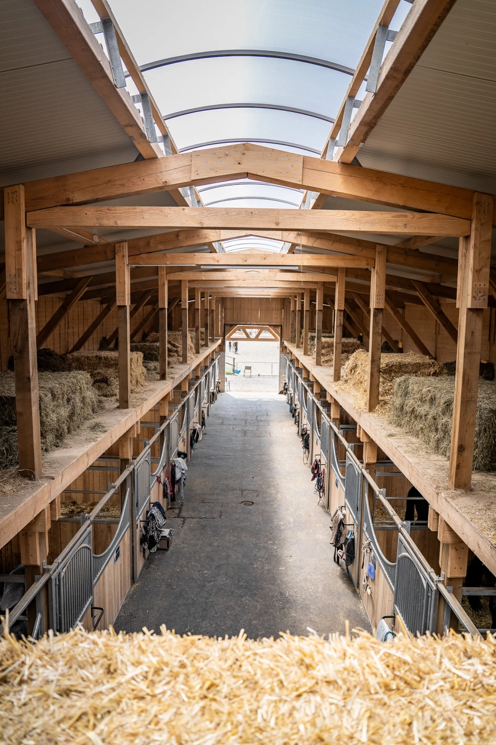 Holzbau Projekt Neubau landwirtschaftliches Gebäude Thurgau