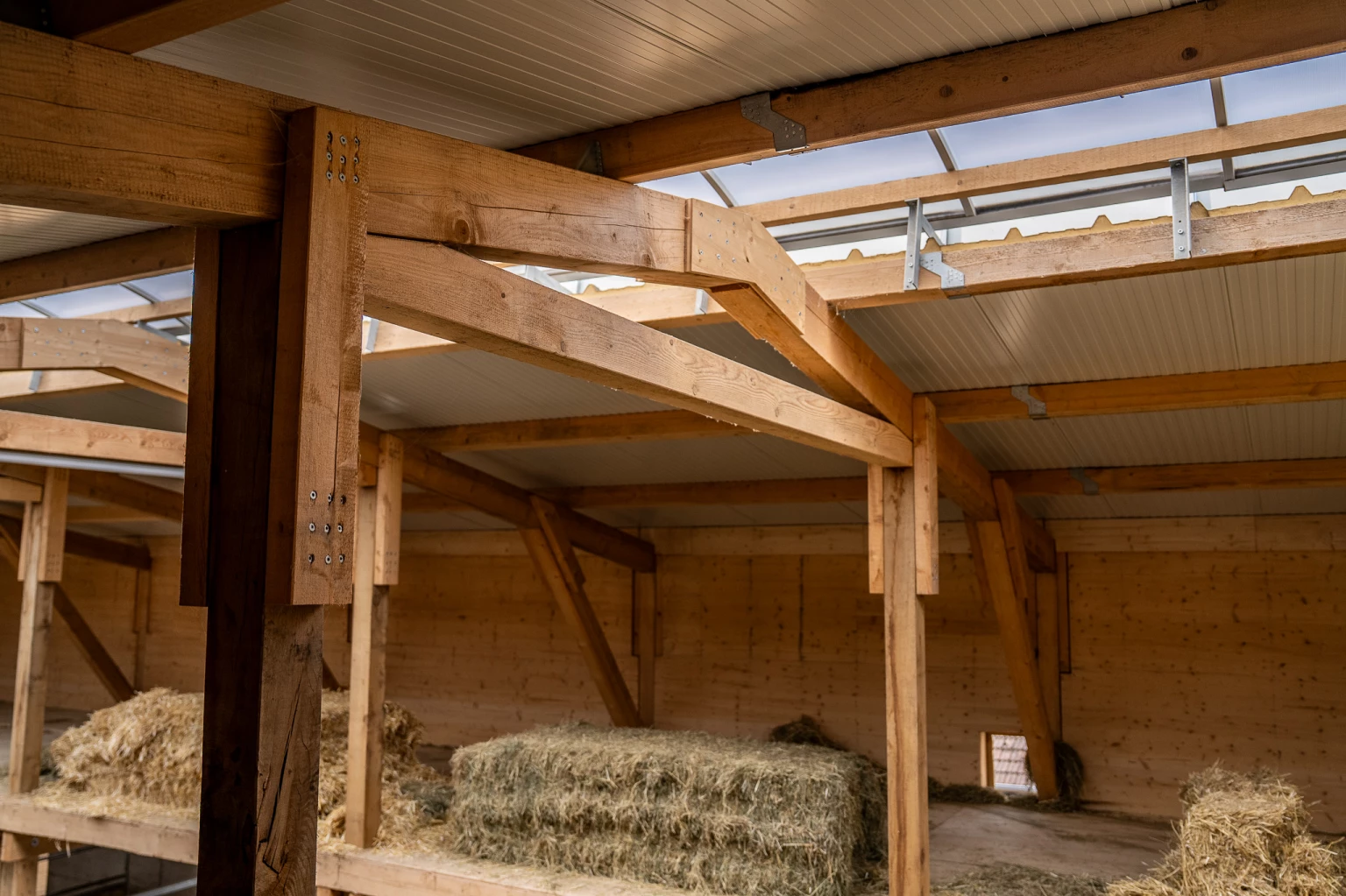 Holzbau Projekt Neubau landwirtschaftliches Gebäude Thurgau