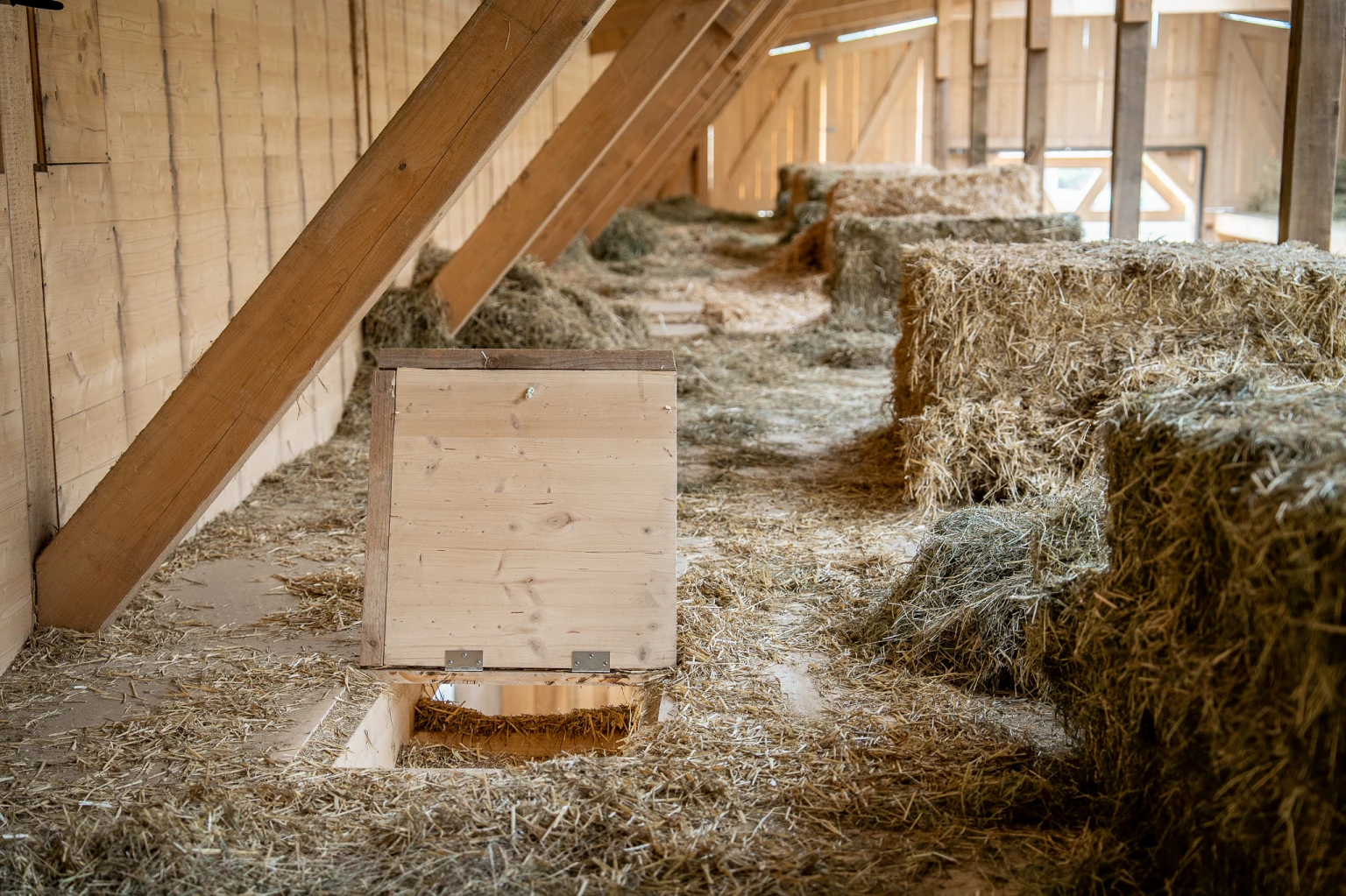 Holzbau Projekt Neubau landwirtschaftliches Gebäude Thurgau