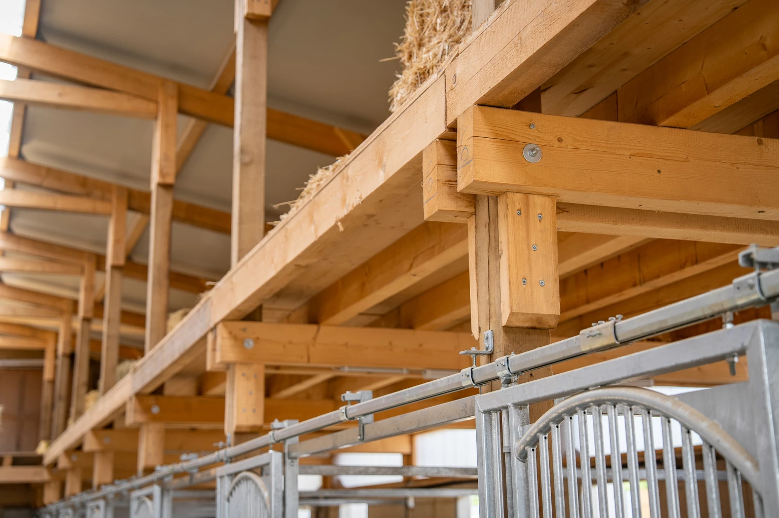 Holzbau Projekt Neubau landwirtschaftliches Gebäude Thurgau