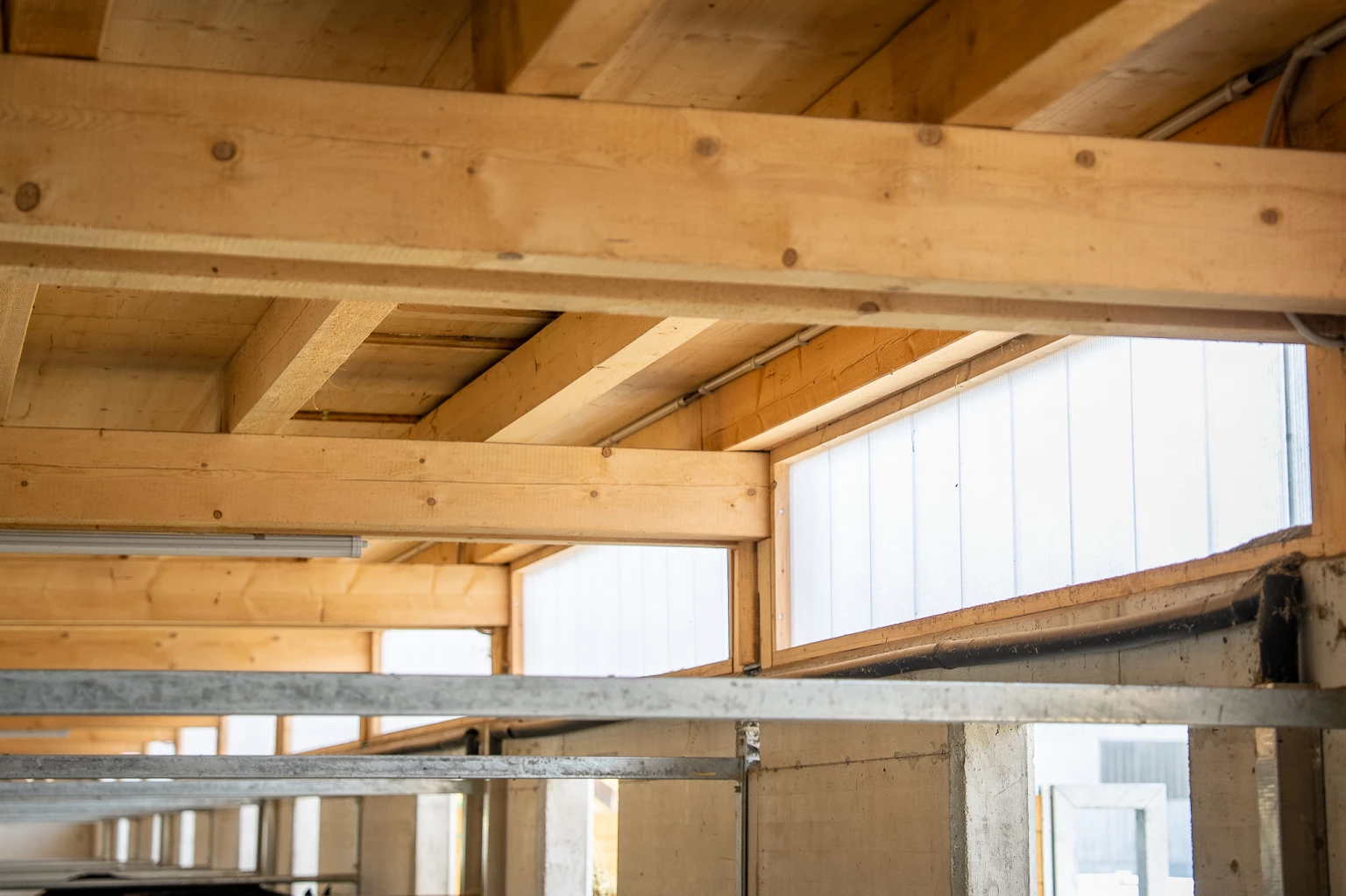 Holzbau Projekt Neubau landwirtschaftliches Gebäude Thurgau