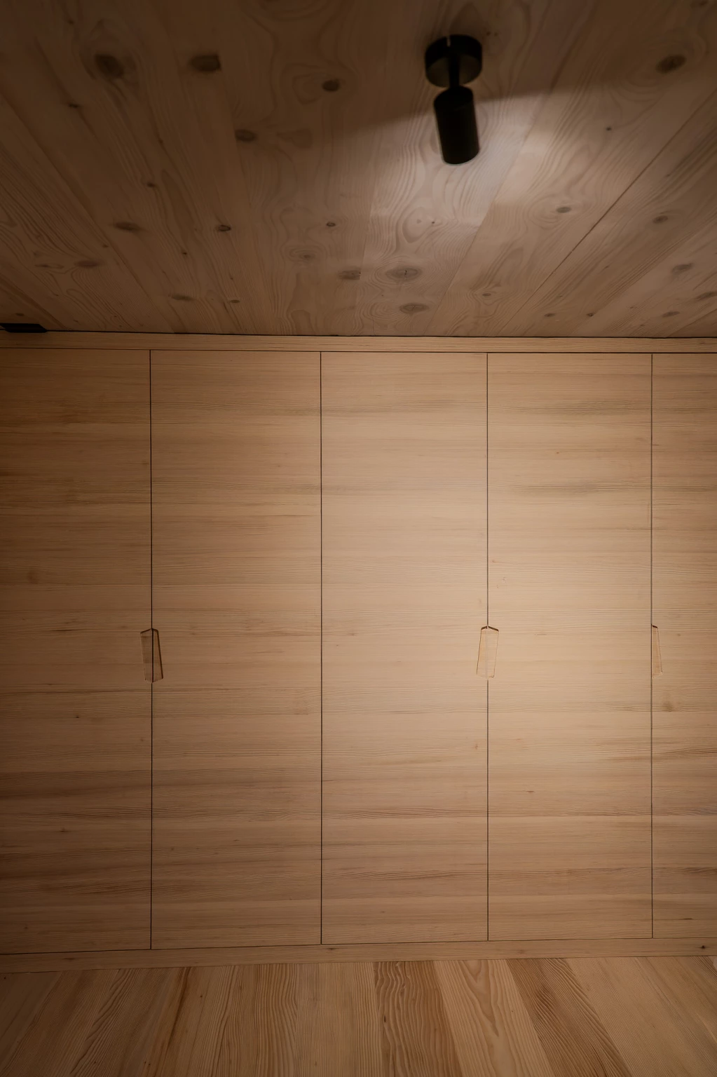 Ökologischer Holzbau Umbau eines Althauses in Thurgau